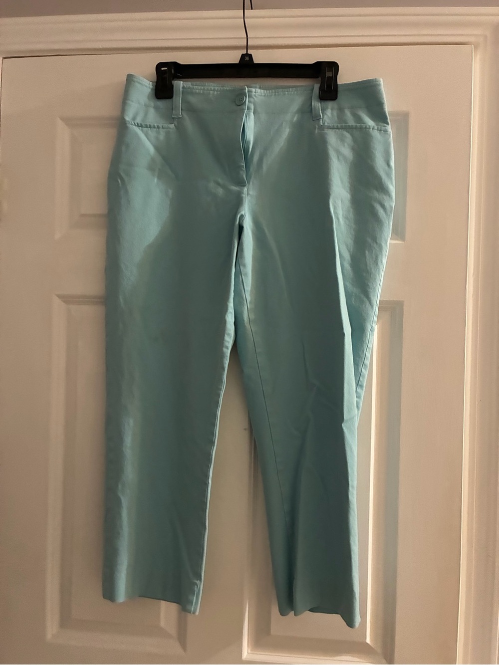 Talbots Light Blue Cropped Pants